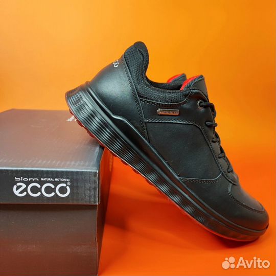 Кроссовки Ecco Biom