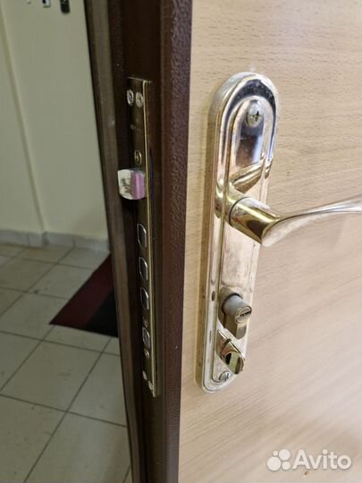 Дверь входная металлическая