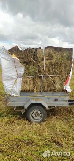 Сено луговое Тюки от 5ти штук