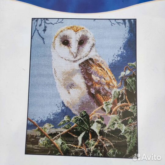 Редкие наборы для вышивания Dmc