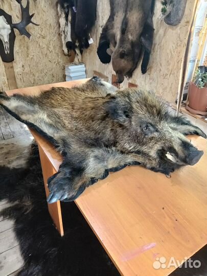 Ковер кабана