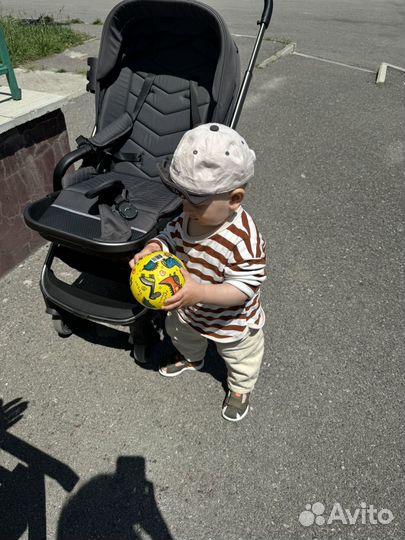 Коляска прогулочная rant flex pro