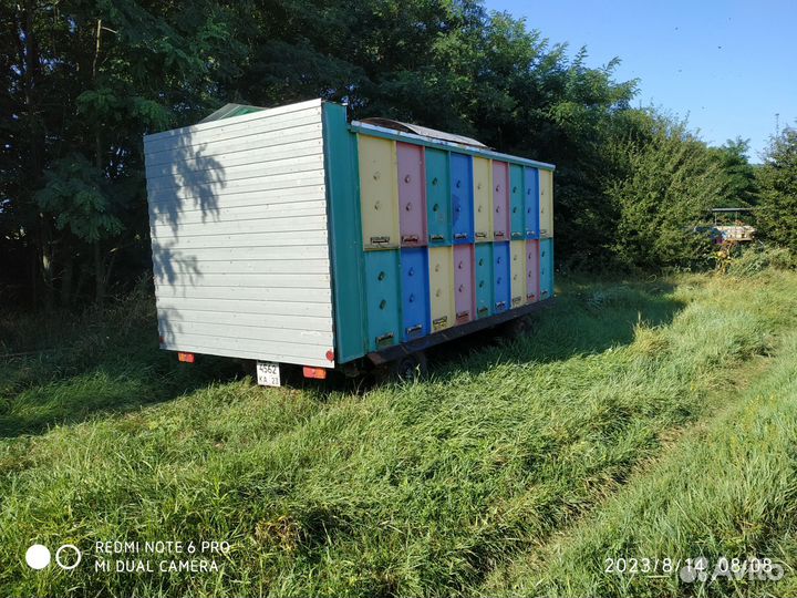 Пчелопавильон