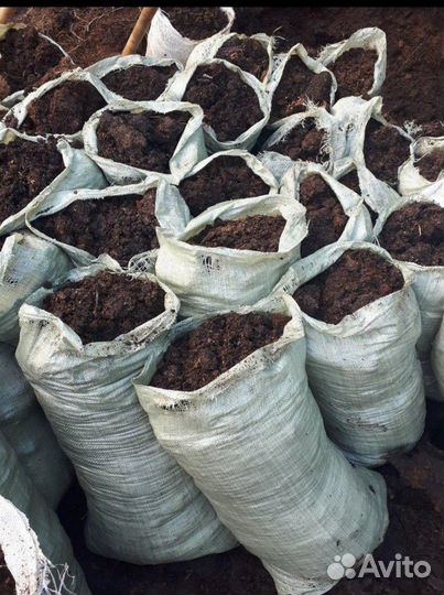 Навоз конский