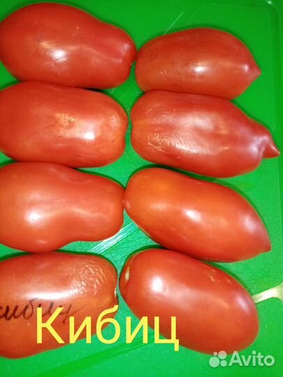 Семена низкорослых и среднерослых томатов