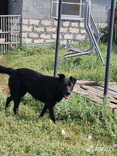 Молодая девочка