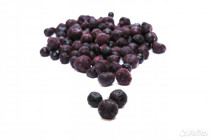 Голубика садовая