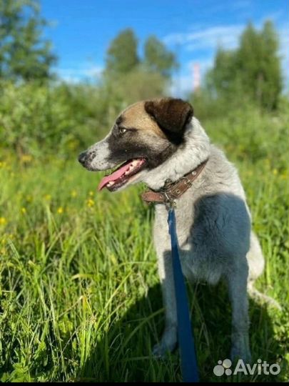 Маша ласкуша