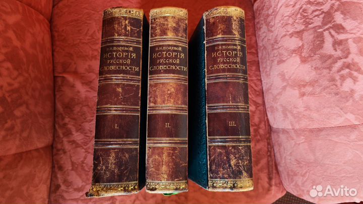 П.Н. Полевой История русской словесности 1900г. 3т
