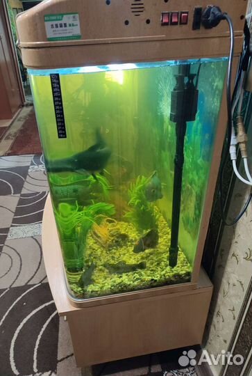 Аквариум
