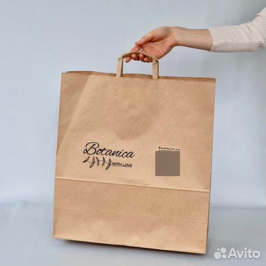 Хризантема ромашки