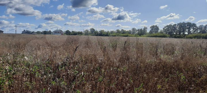 Участок 10 сот. (ИЖС)