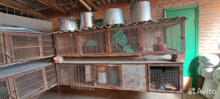 Клетка для нутрий