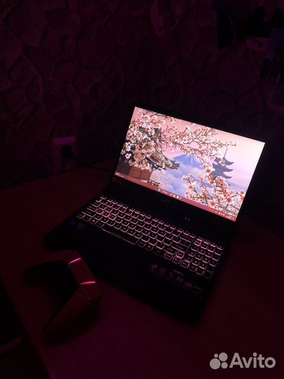 Acer nitro 5 rtx 3060