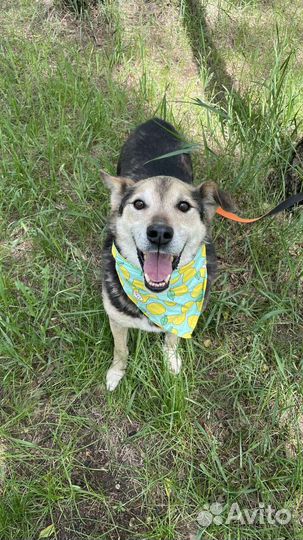 Сэм ждёт именно тебя