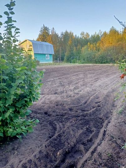 Участок 6 сот. (СНТ, ДНП)