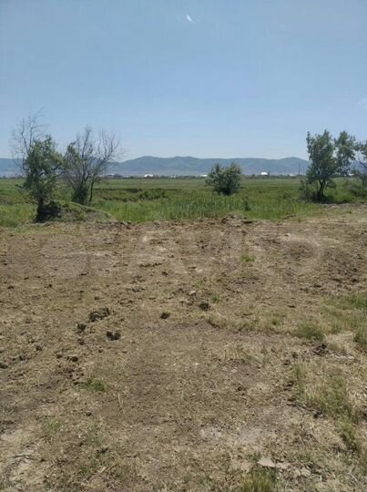 Участок 8 сот. (ИЖС)