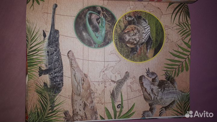 Красная книга мира