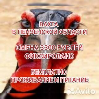 Фасовщик вахта в Пензе муж/жен/пары