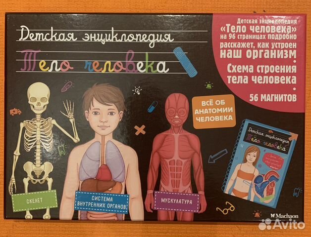 Магнитная игра «Тело человека» энциклопедия