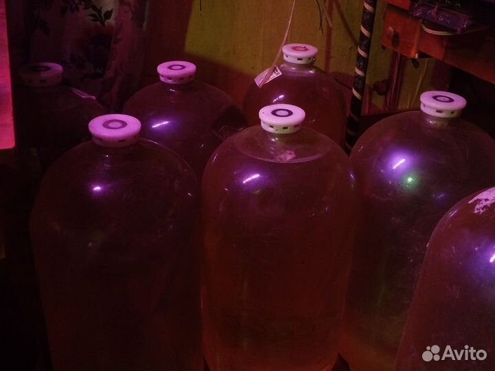 Березовый и кленовый квас