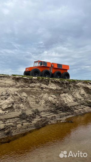 Снегоболотоход тром-8