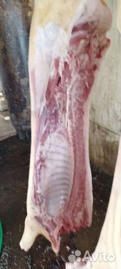 Мясо свинина домашняя