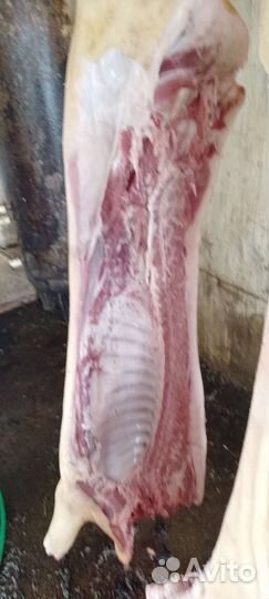 Мясо свинина домашняя
