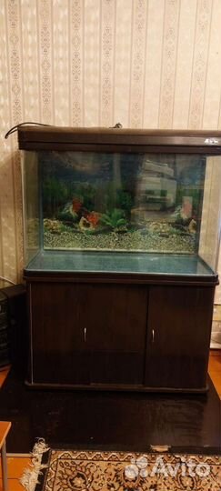 Аквариум с тумбой 280 литров