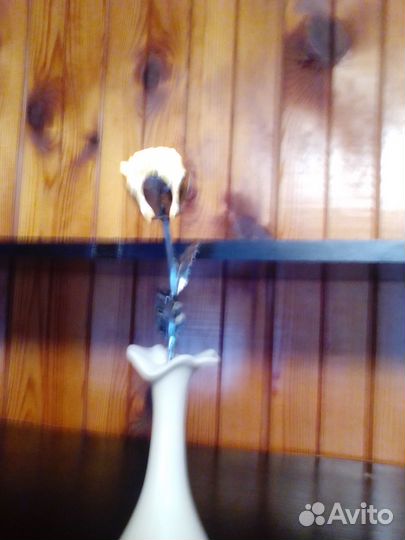 Светильник ночник роза