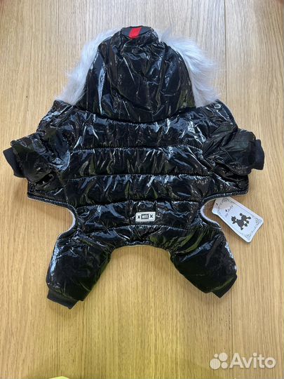 Одежда для собак