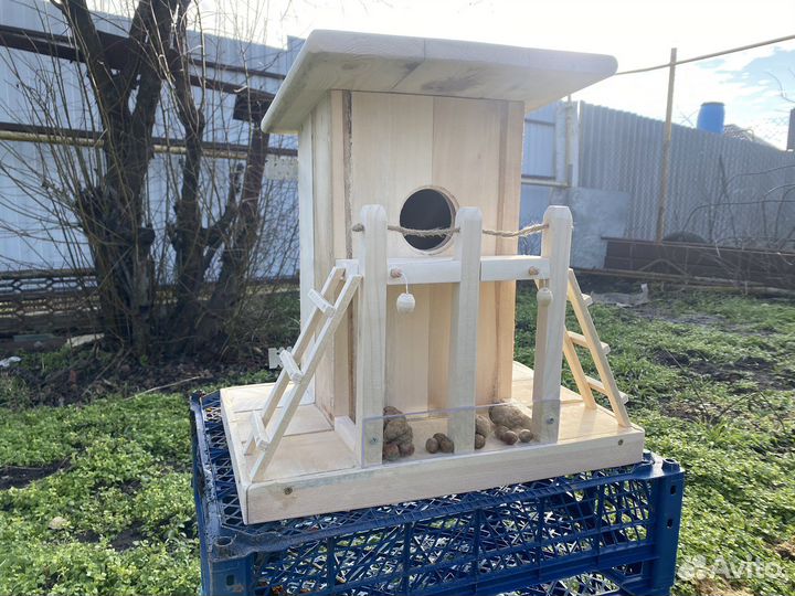 Бельчатник кормушка