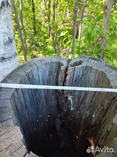 Колода для пчел