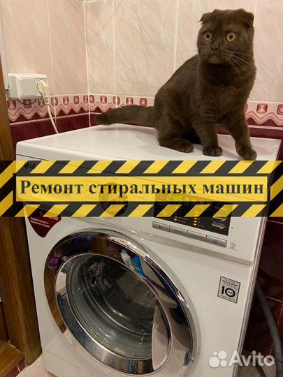 Стиральная машина. Ремонт