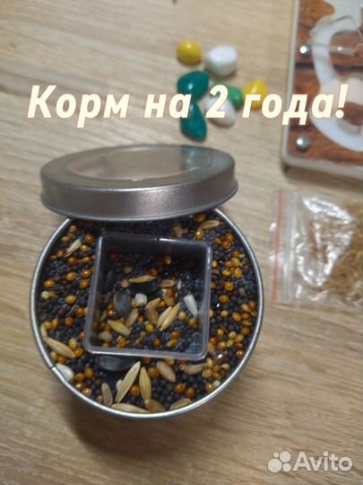 Почти новая муравьиная ферма