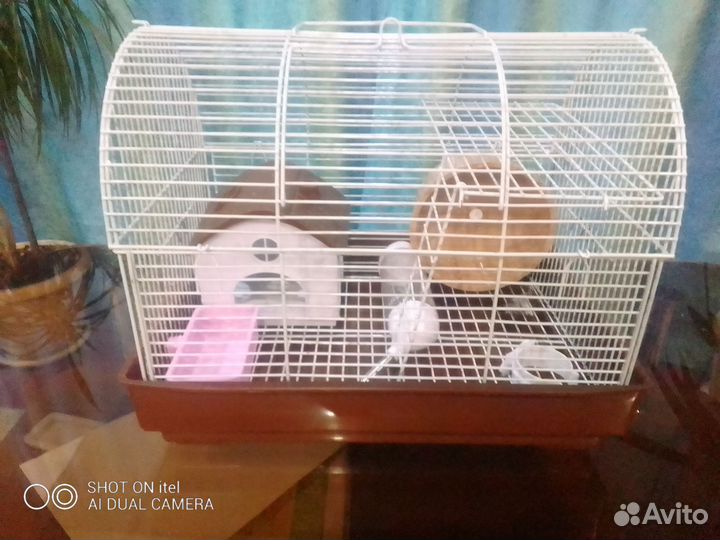 Клетка для хомяка