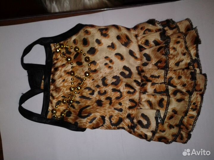 Одежда для собак