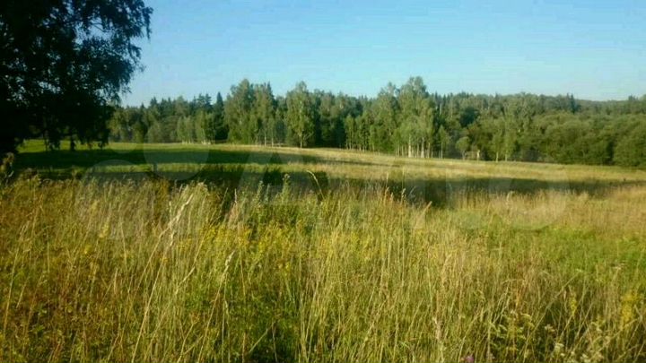 Участок 2,28 га (ИЖС)
