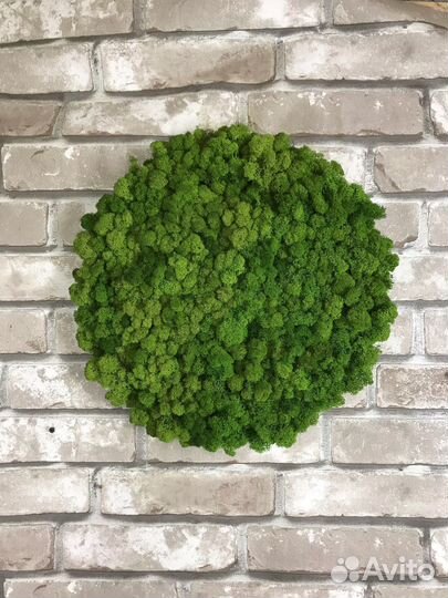 Панно круг 30 см из стабилизированного мха