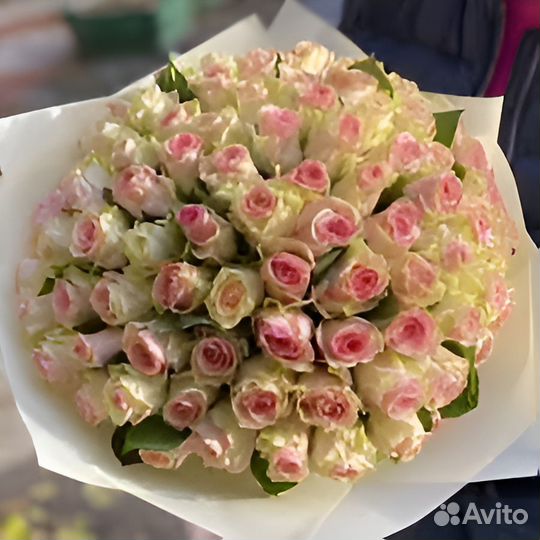 Эквадорские розы цветы доставка