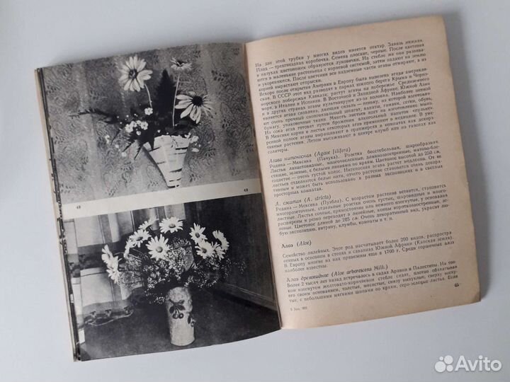 Комнатные цветочные растения Левданская,А.С. Мерло