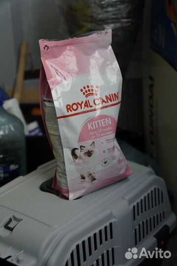 Переноска, миска-автопоилка, лоток, лежанка, корм