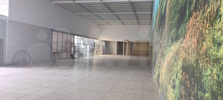 Торговая площадь, 800 м²