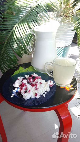 Козье молоко, мороженое