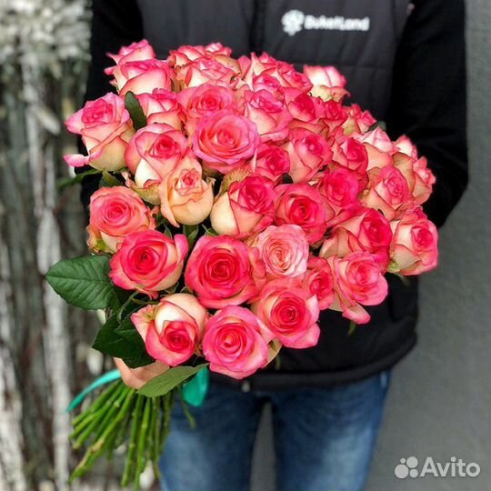 Розы Джумилия 25 роз 31 роза 51 роза