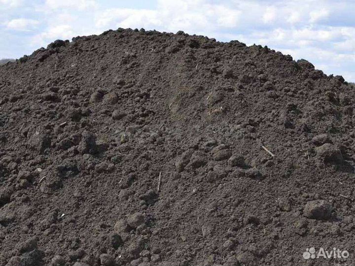 Земля чернозем