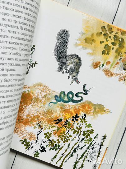 Акварель, серия Читают все