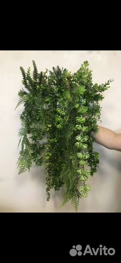 Туи, деревья, Озеленение искусственной зеленью