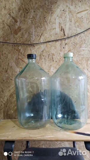 Балон под Брагу и самогон