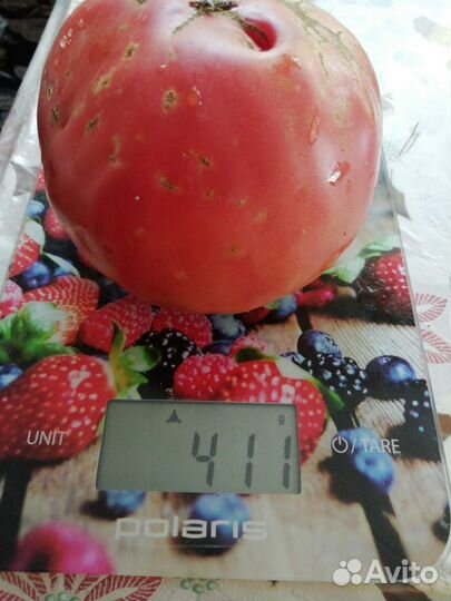 Семена помидор